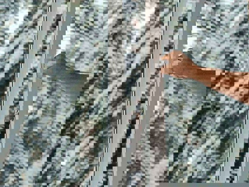 Foto van een persoon die een raam openmaakt in een winters landschap. 