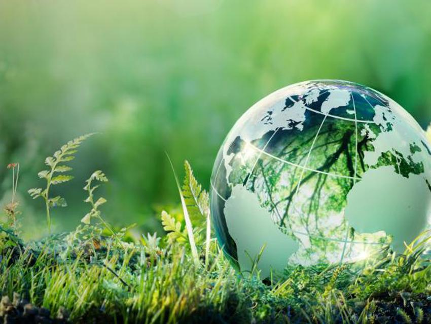 Illustratie van een glanzende wereldbol in een groene natuurlijke omgeving.