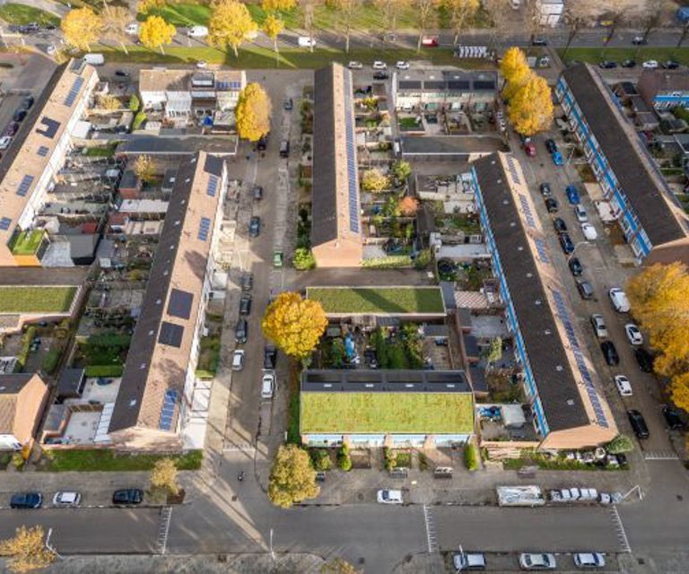 Luchtfoto van een woonwijk waar zowel dakpannen als groendak ligt i.c.m. zonnepanelen. 