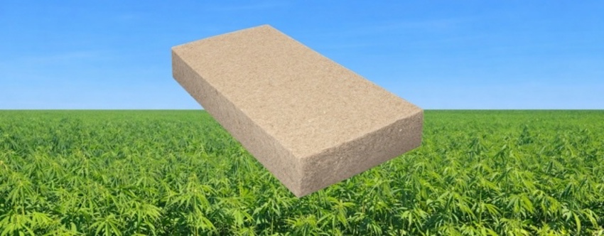 Illustratie van een BEWI Hemp isolatieplaat op de voorgrond van een hennepveld. 