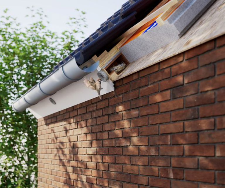 Illustratie van de doorsnede van de Avi-nestkast waar een vogel in de opening van de boeiboord vliegt.