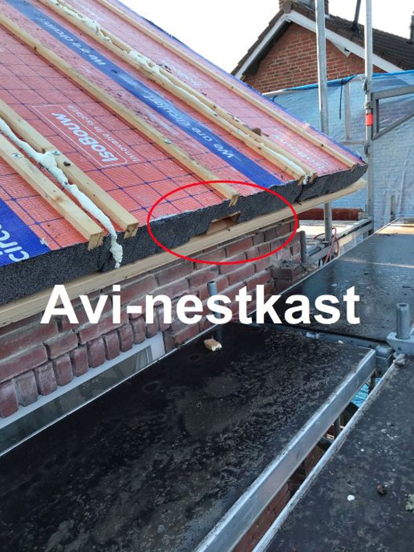 Projectfoto waarbij de nadruk ligt op de Avi-nestkast aan de onderzijde van het dakelement.