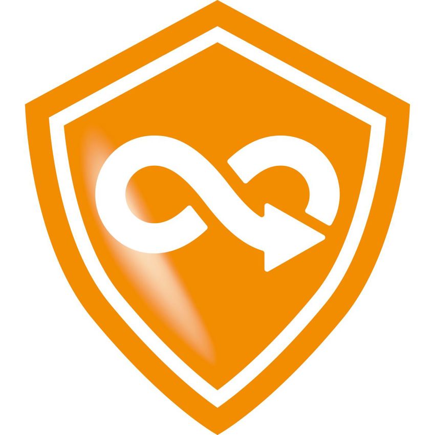 Icoontje van een lemniscaat in een schild